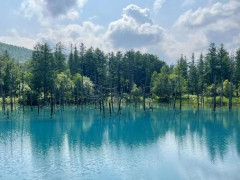 【朗報】俺、7月末から7泊8日北海道旅行ｗｗｗｗｗｗｗｗｗｗｗｗｗｗｗｗｗｗｗｗｗ