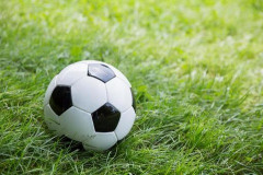 本田圭佑、日本代表チュニジア戦のMVPは｢上田さん、鎌田さん、そして佐野さん｣
