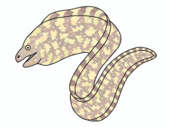 【動画】ウツボ、レベチｗｗｗｗｗｗｗｗｗｗｗｗｗｗｗｗ
