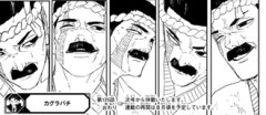 【カグラバチ】なんだよこのページ
