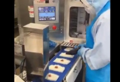 【動画】おにぎり工場の過酷な労働wwwwwww