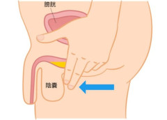 【悲報】小便「ジョロロ」ワイ「もう出ないか？」ちんこ「出ないで」ｗｗｗｗｗｗｗｗｗｗ