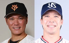 坂本勇人、山田哲人ってなんでずっと独身なの？