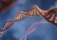 水生生物から陸上生物への移行には、両生類のような変態は必要なかった