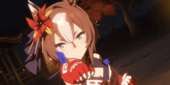 【ウマ娘】格闘ウマ娘増えてきたしウマ娘の格ゲーが欲しい