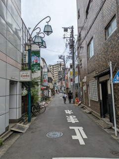 フランス人 「日本って景観が悪いのに何で人気の旅行先なの？」