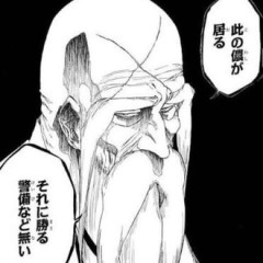 【BLEACH】総隊長の山本元柳斎重國