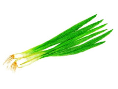 京野菜「九条ねぎ」に「中国産」混ぜ販売、産地偽装の疑い 青果卸売業の元社長の男逮捕