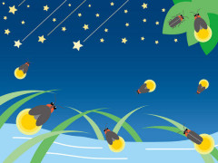 海外「宿の裏に流れる小川の蛍が凄かった！」日本旅行で一番良かった観光／名所に対する海外の反応