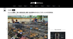 【画像】ベトナム警察が「飼い猫窃盗団」を摘発　食肉解体されるところだった400匹を救出