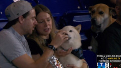 【朗報】柴犬さん、野球観戦しながらホットドッグを食べるWWWWWWWWWWWWWWWWWWWWWWWWWWWWWWWWWWWWWWWWWWWWWWWWWWWWWWWWWWWWWWWWWWWW