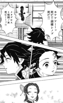 【鬼滅の刃】メタグロス vs しのぶ