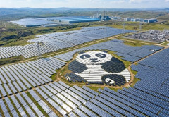 「勝ちすぎた」中国太陽電池…巨額赤字産業に！