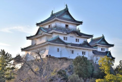 和歌山県に転勤決まったんやが