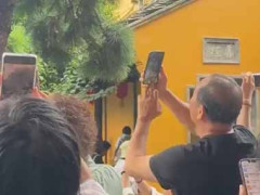 観光客たちがスマホを木の上に向けていた。何を撮っているのかな？ → 納得です…