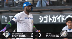 【日本ハム】レイエス、犠牲フライで追加点｜ロッテ戦｜打った時の反応まとめ｜6/24