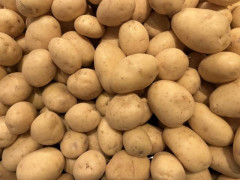 肉じゃがを安心して食べられなくなる⁉　米国産ジャガイモ、全面輸入解禁の観測高まる