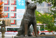 【驚愕】スマホがない時代の待ち合わせ、思った以上に狂っていた…