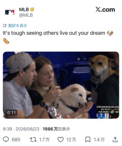 【朗報】日本の柴犬、ガチでアメリカでバズりまくるｗｗｗｗｗｗｗｗｗｗｗｗｗｗｗｗｗｗwｗwｗｗｗｗｗｗ