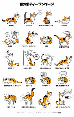【知識】なんか普通にためになる画像貼ってけ