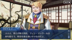【FGO】輝く貌のディルムッドは顔が輝く、輝やけるフィン・マックールは全身が発光する、ケルトの英雄は発光グループかもしれない