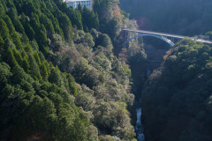 九州で一番賑わってないド田舎の県って宮崎なん？