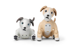 ソニー､犬型ロボット｢aibo(ERS-1000)｣国内販売終了 事業は継続