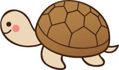 【画像】亀仙流とかいう素晴らしい教義ｗｗｗｗｗｗｗｗｗｗｗｗｗｗｗｗｗｗｗｗｗｗｗｗ