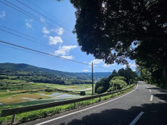 今年は去年より遥かに涼しいみたいね