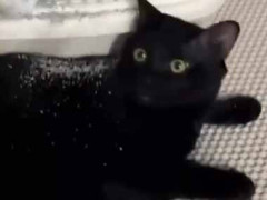 ふたりはケンカでもしたのかな？ ちょ、ちょっと何すんの！？ → さりげない嫌がらせはこちらです…