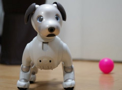【ロボット】ソニー「aibo」の国内販売終了