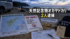 【天然記念物】約12.8キロを密猟しようとした中国籍2人を逮捕「日本の法律なんて知らんよ」