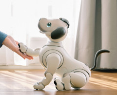 【悲報】ソニー、aiboの販売終了を発表