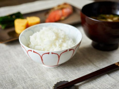 【困惑】専門家「１日の炭水化物はご飯茶碗１杯が適量、残りは肉や野菜を食べろ」