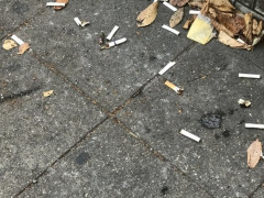 【悲報】74歳男性さん、10歳男児に注意され激高して自転車を投げ付け逮捕・・・・・・・・・