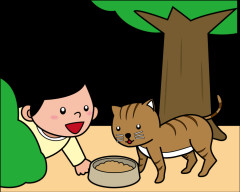 地域猫って理想はいいけど、現実的にうまくいってる地域ってどれくらいあるんですか？