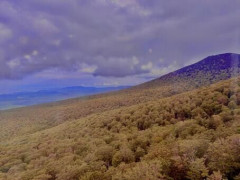 【速報】八甲田遭難、ガチで『最悪の展開』になってしまう・・・・・