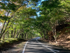 【爆笑】滋賀県の観光地「湖」しかなかった