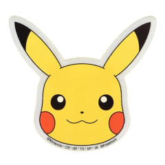 【悲報】ピカチュウ「ピカチュウ～」←いや、おかしくね？ｗｗｗｗｗｗｗｗｗｗ