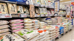 【コメ騒動】JA担当者「もう倉庫にコメが入らない」新米も過剰生産…　新米3000円割れが見えてきた