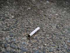 【悲報】タバコのポイ捨てを注意された74歳男、小5男児に逆ギレし自転車をぶつけて逮捕