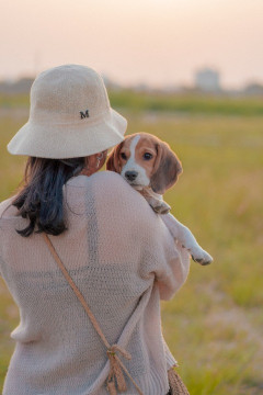 抱っこされて散歩してる犬いるでしょ？