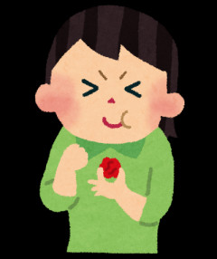 市販の美味しい梅干しありますか？