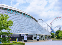 パリーグとセリーグでドーム球場均一にするために再編とかやりそう