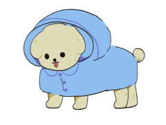 【動画】イッヌ、雨の中おさんぽするｗｗｗｗｗｗｗｗｗｗｗｗｗｗｗｗ