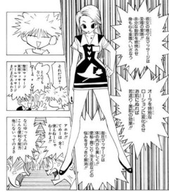 【ハンターハンター】ガキには分からない強さ