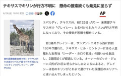 テキサスでキリンが行方不明に　懸命の捜索続くも発見に至らず