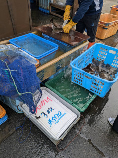 【画像】こういうの勢いで買えない