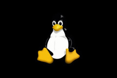 【悲報】「Linux」←コイツが全く使われない理由《ワケ》