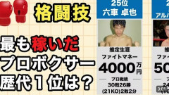 【悲報】格闘技で一番稼げるのが一番弱いボクシングという事実…